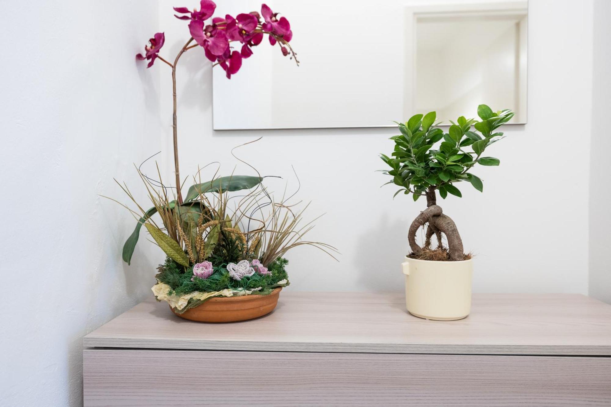 Monolocale Sguizzette Apartment Brescia Ngoại thất bức ảnh